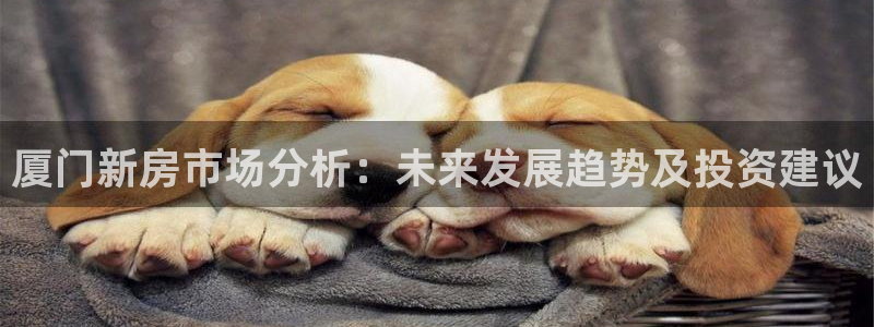 风暴娱乐老板：厦门新房市场分析：未来发展趋势及投资建议