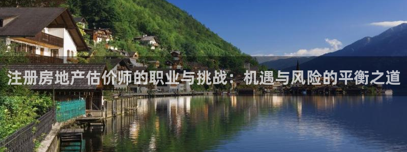 风暴娱乐记：注册房地产估价师的职业与挑战：机遇与风险的平衡之