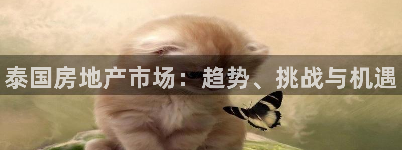 风暴娱乐上5指尖：泰国房地产市场：趋势、挑战与机遇