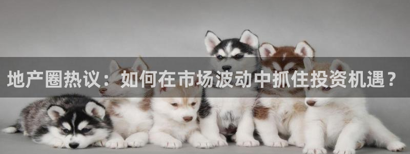 风暴娱乐银川：地产圈热议：如何在市场波动中抓住投资机遇？