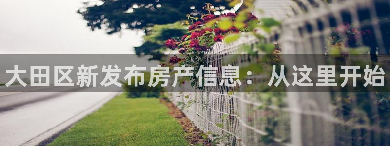 风暴娱乐汇：大田区新发布房产信息：从这里开始