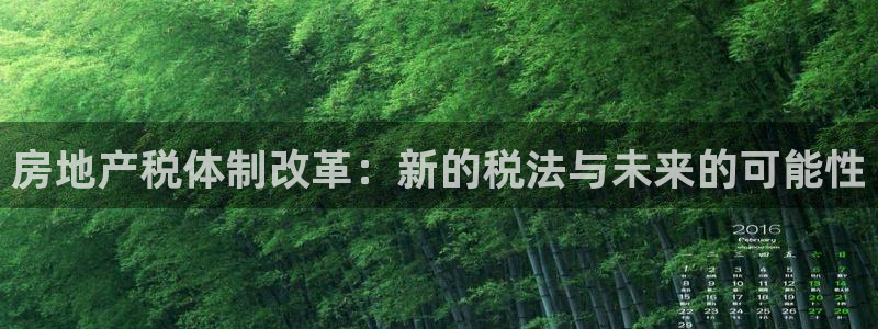 风暴娱乐提现：房地产税体制改革：新的税法与未来的可能性