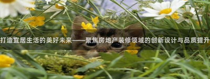 风暴娱乐月5指尖：打造宜居生活的美好未来——聚焦房地产装修领