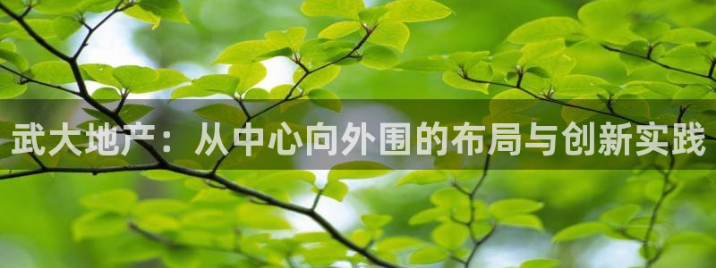风暴娱乐fb