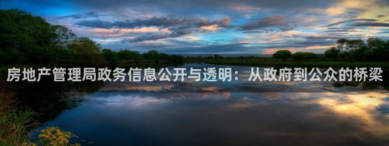 风暴官方娱乐：房地产管理局政务信息公开与透明：从政府到公众的