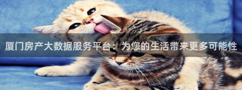 风暴娱乐：厦门房产大数据服务平台：为您的生活带来更多可能性