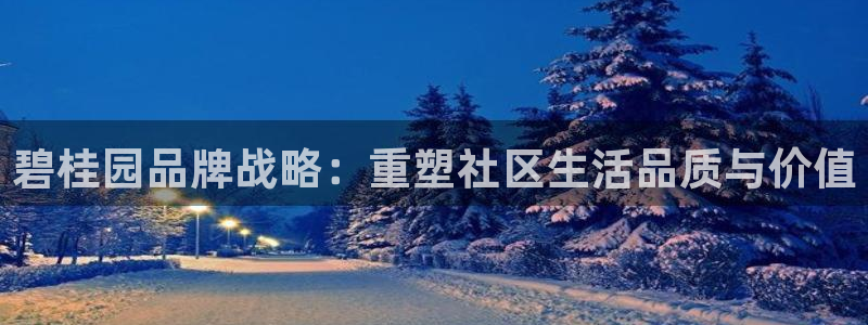 风暴娱乐求333OOa：碧桂园品牌战略：重塑社区生活品质与价