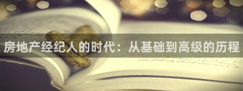 风暴娱乐眼：房地产经纪人的时代：从基础到高级的历程