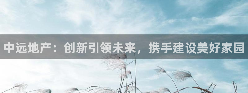风暴娱乐提现：中远地产：创新引领未来，携手建设美好家园