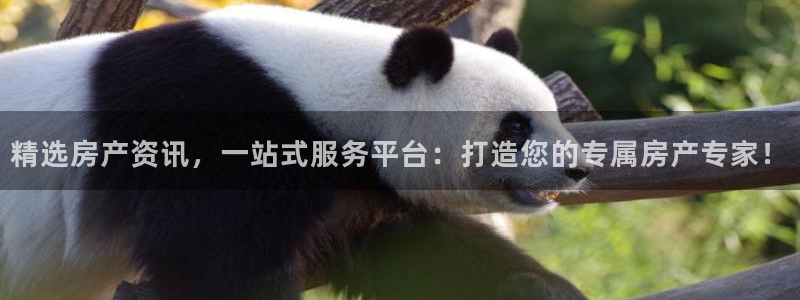 风暴娱乐右5指尖：精选房产资讯，一站式服务平台：打造您的专属