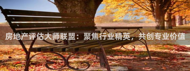 风暴娱乐5O6917：房地产评估大师联盟：聚焦行业精英，共创