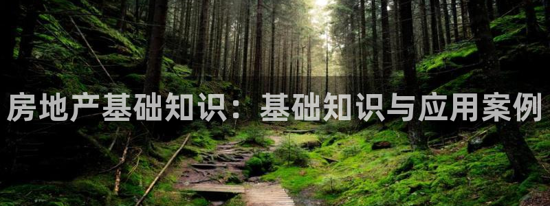 风暴娱乐有5指尖：房地产基础知识：基础知识与应用案例