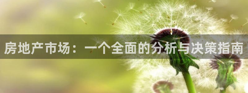 风暴娱乐字图片大全：房地产市场：一个全面的分析与决策指南