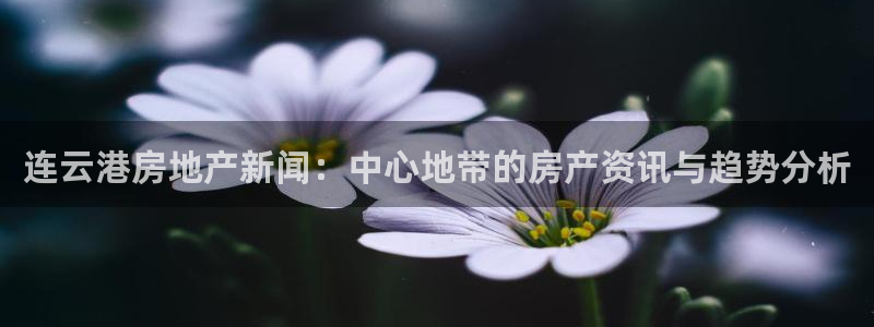 完美风暴 娱乐：连云港房地产新闻：中心地带的房产资讯与趋势分