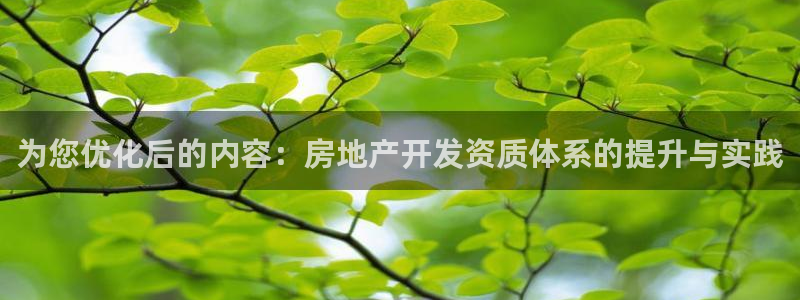 星风暴娱乐：为您优化后的内容：房地产开发资质体系的提升与实践