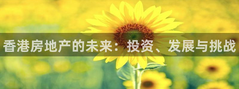 风暴娱乐官网开户：香港房地产的未来：投资、发展与挑战