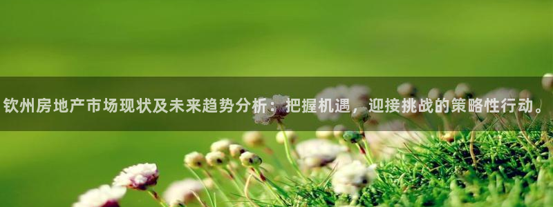 风暴娱乐 风暴注册平台：钦州房地产市场现状及未来趋势分析：把