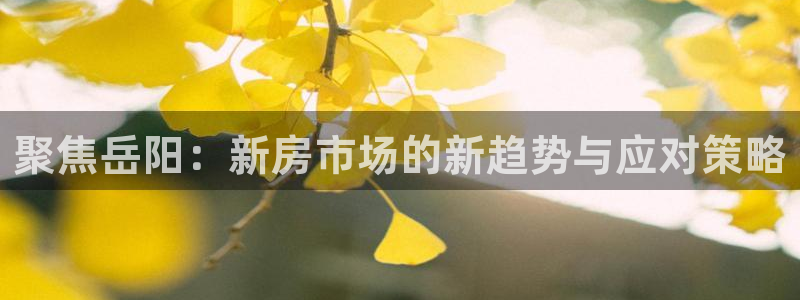 风暴娱乐登录网址：聚焦岳阳：新房市场的新趋势与应对策略