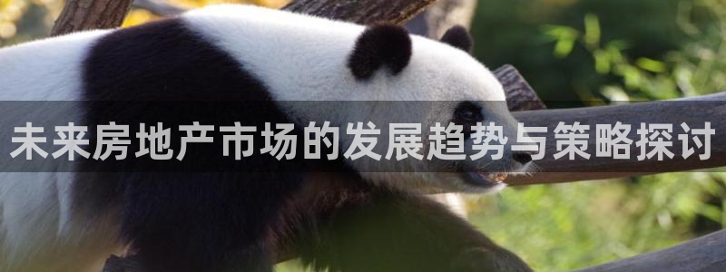 风暴娱乐月5指尖：未来房地产市场的发展趋势与策略探讨