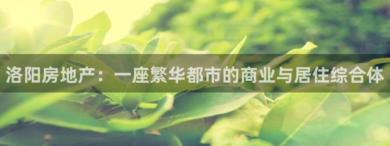 风暴娱乐点：洛阳房地产：一座繁华都市的商业与居住综合体
