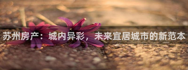 风暴数字娱乐：苏州房产：城内异彩，未来宜居城市的新范本
