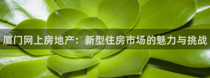 风暴娱乐汇：厦门网上房地产：新型住房市场的魅力与挑战