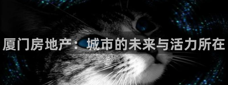 星风暴娱乐：厦门房地产：城市的未来与活力所在