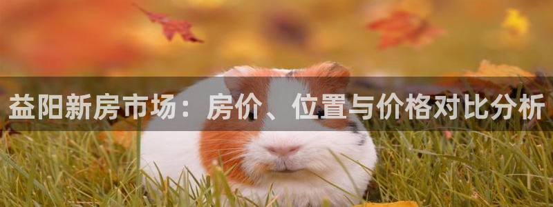风暴娱乐棋牌：益阳新房市场：房价、位置与价格对比分析