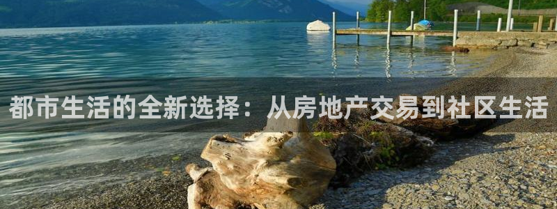 娱乐风暴开头：都市生活的全新选择：从房地产交易到社区生活