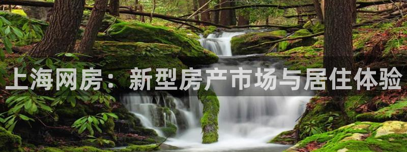 风暴新娱乐：上海网房：新型房产市场与居住体验