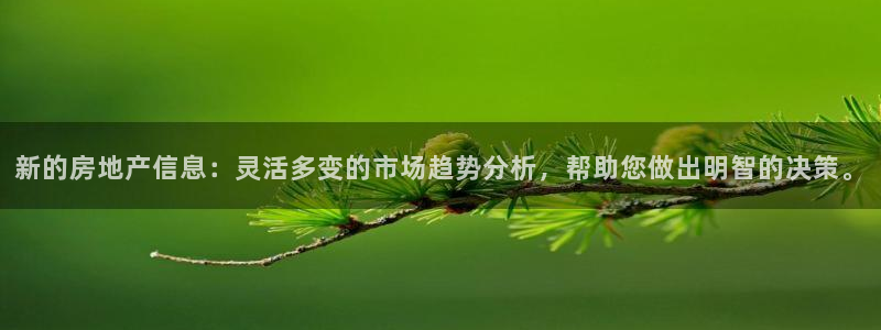 光风暴娱乐：新的房地产信息：灵活多变的市场趋势分析，帮助您做