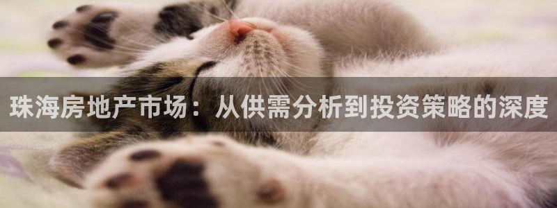 风暴数字娱乐：珠海房地产市场：从供需分析到投资策略的深度