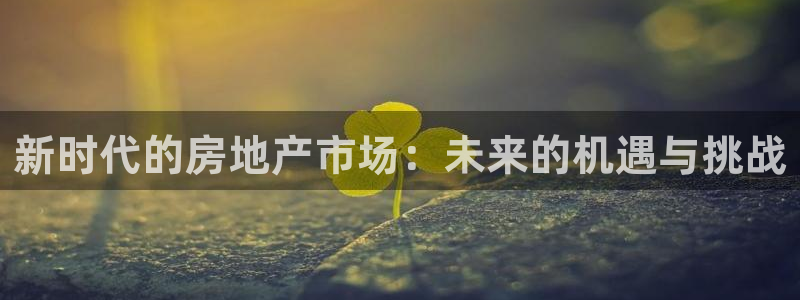 风暴娱乐套路：新时代的房地产市场：未来的机遇与挑战
