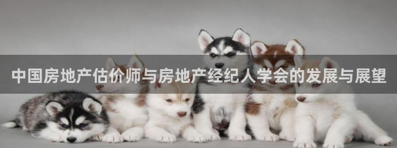 风暴大厅娱乐：中国房地产估价师与房地产经纪人学会的发展与展望