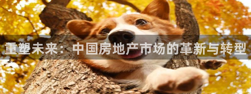 注册风暴娱乐：重塑未来：中国房地产市场的革新与转型