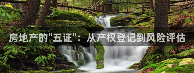 风暴娱乐平台地址：房地产的\