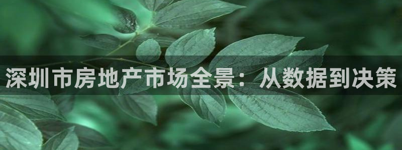 风暴娱乐园