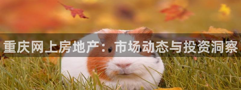 风暴英雄娱乐
