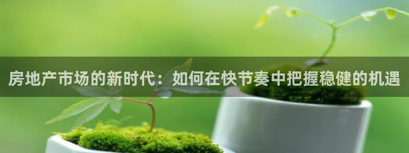 风暴娱乐园：房地产市场的新时代：如何在快节奏中把握稳健的机遇