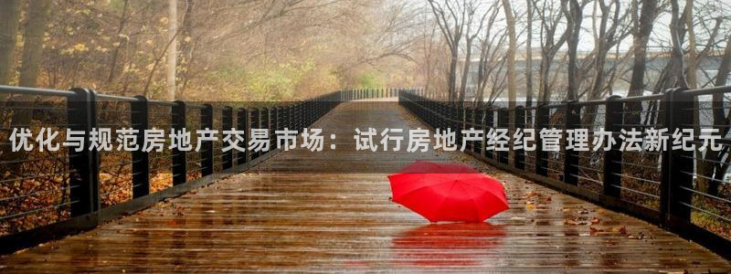 风暴娱乐套路：优化与规范房地产交易市场：试行房地产经纪管理办