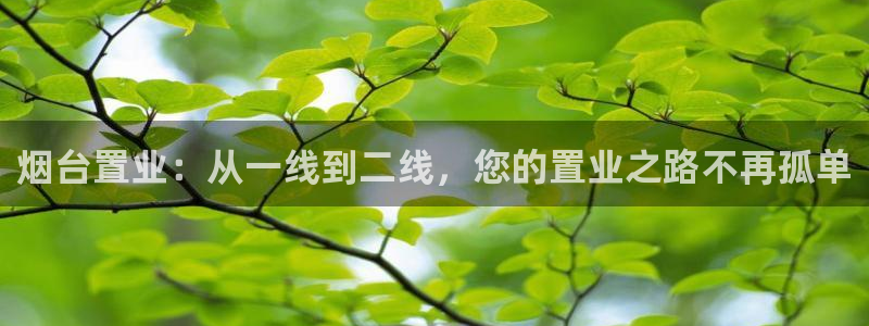 菲律宾风暴娱乐集团