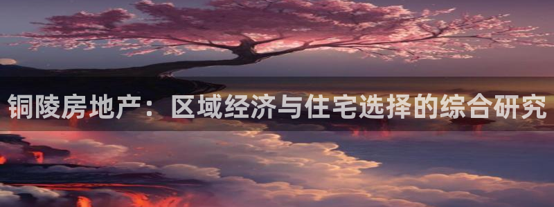 风暴娱乐记：铜陵房地产：区域经济与住宅选择的综合研究