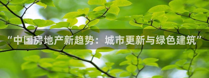 风暴新娱乐：“中国房地产新趋势：城市更新与绿色建筑”