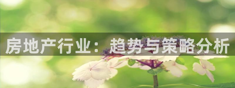 风暴娱乐银川：房地产行业：趋势与策略分析