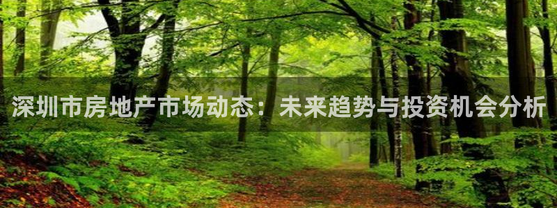 风暴英雄娱乐：深圳市房地产市场动态：未来趋势与投资机会分析