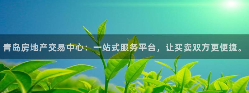 娱乐风暴系统：青岛房地产交易中心：一站式服务平台，让买卖双方