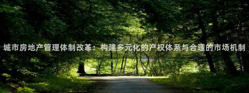 风暴官方娱乐：城市房地产管理体制改革：构建多元化的产权体系与