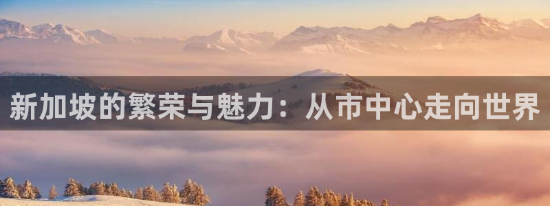风暴娱乐下载地址：新加坡的繁荣与魅力：从市中心走向世界