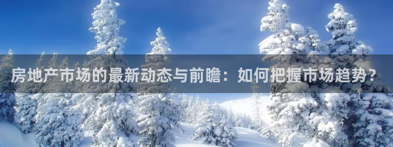 风暴新娱乐：房地产市场的最新动态与前瞻：如何把握市场趋势？