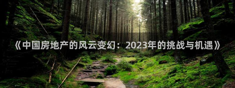 风暴娱乐开户：《中国房地产的风云变幻：2023年的挑战与机遇